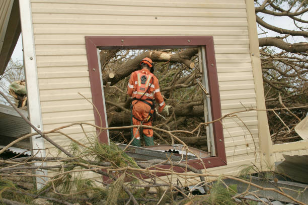 Tree and Shrub Care in Bellevue, IL